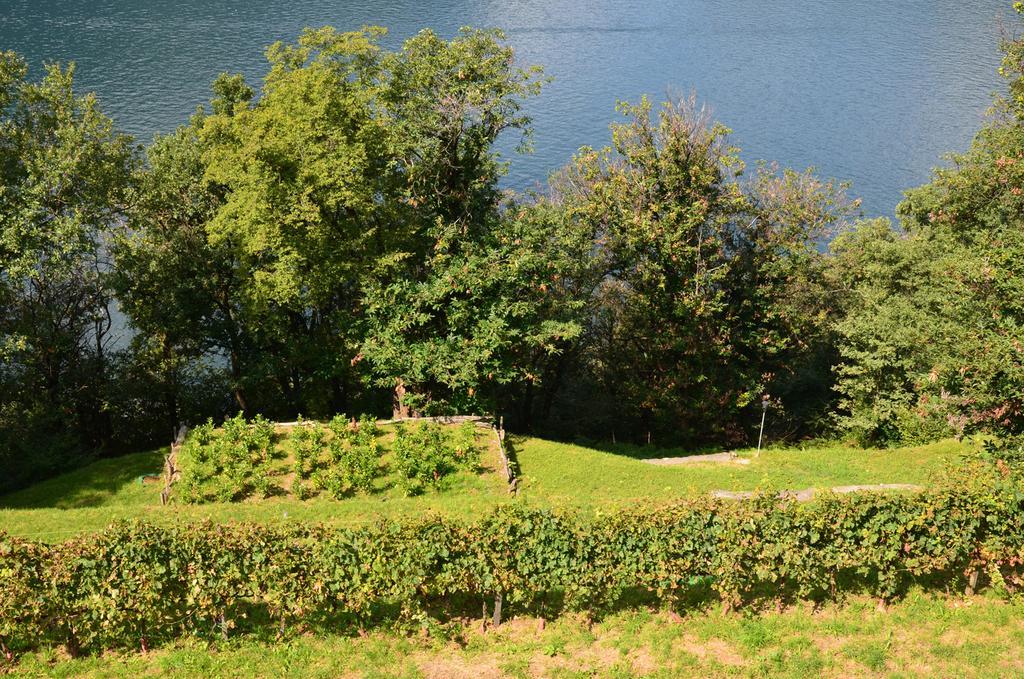 Tra Lago E Montagna Baita La Morena ネッソ エクステリア 写真