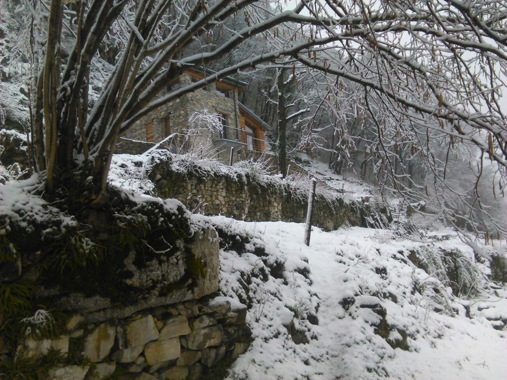 Tra Lago E Montagna Baita La Morena ネッソ エクステリア 写真