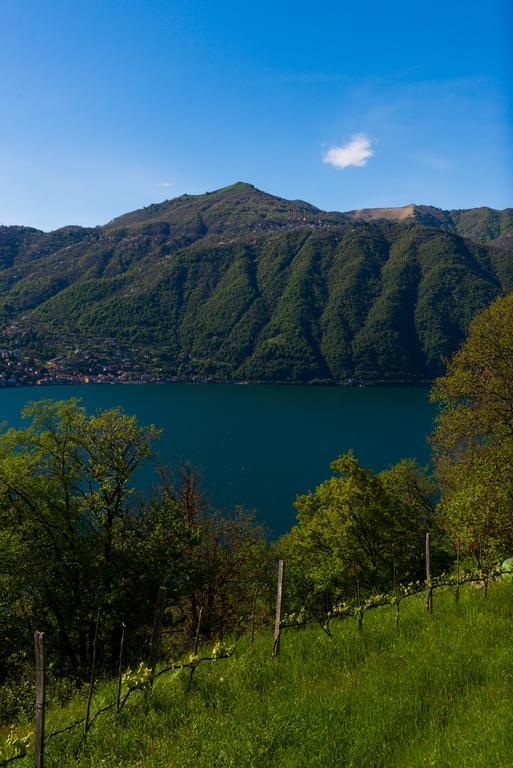 Tra Lago E Montagna Baita La Morena ネッソ エクステリア 写真