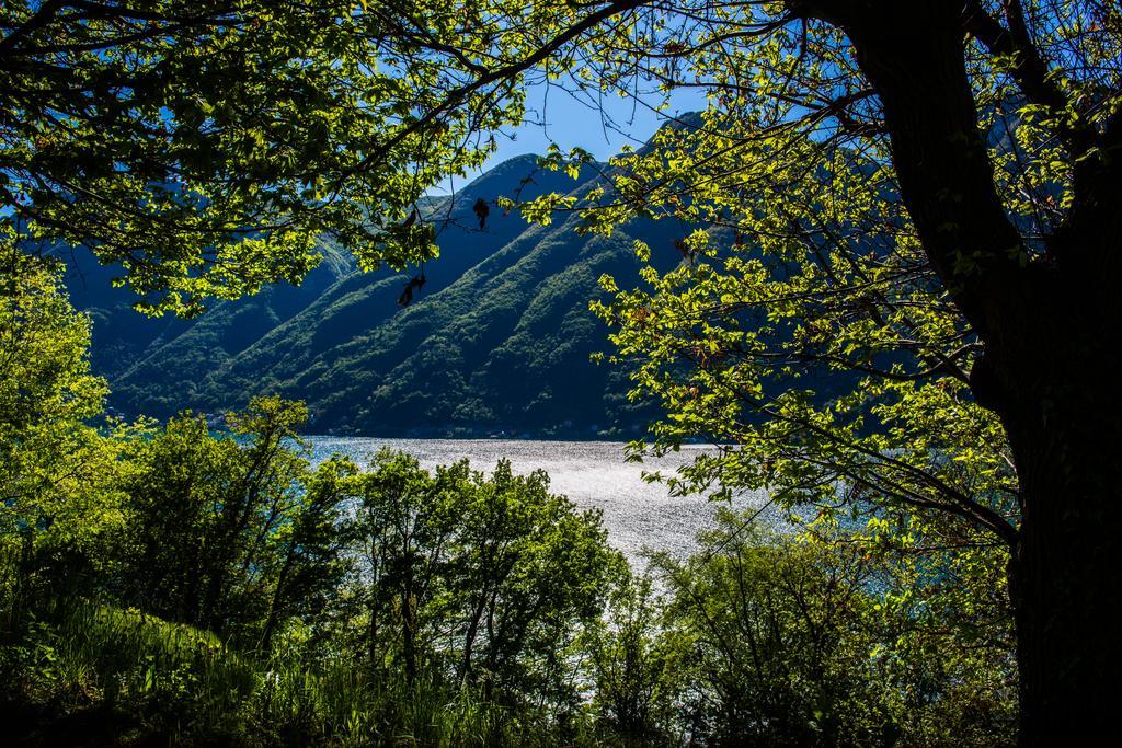Tra Lago E Montagna Baita La Morena ネッソ エクステリア 写真