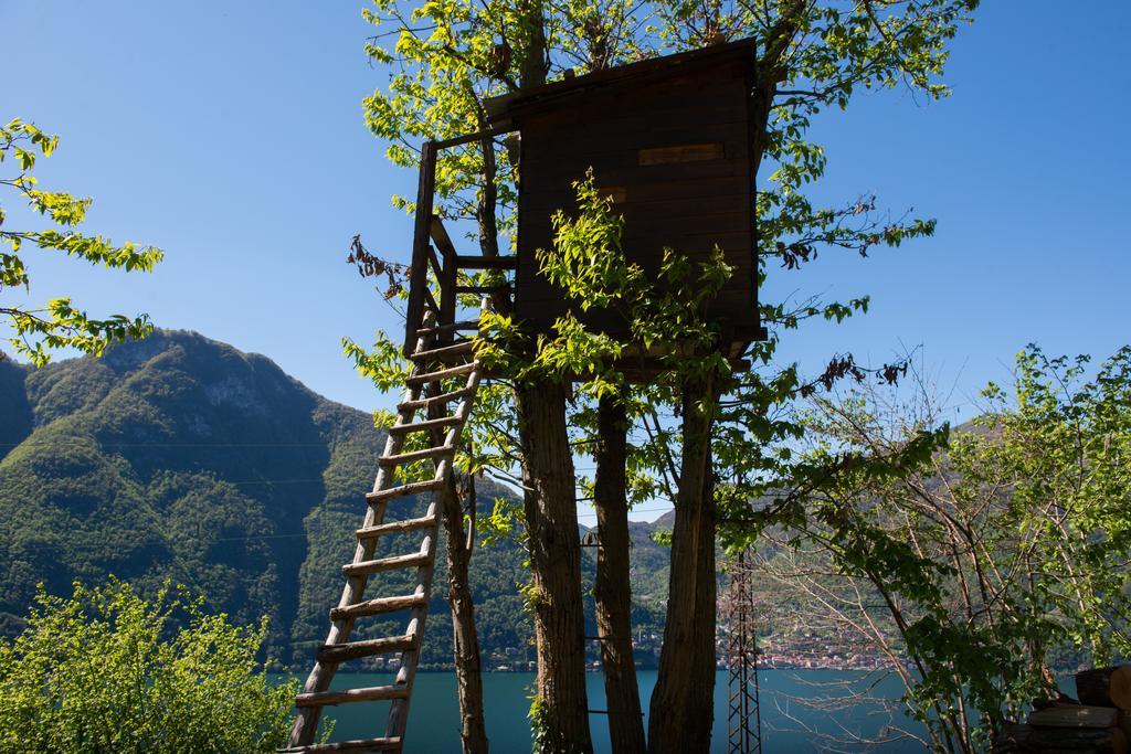 Tra Lago E Montagna Baita La Morena ネッソ エクステリア 写真