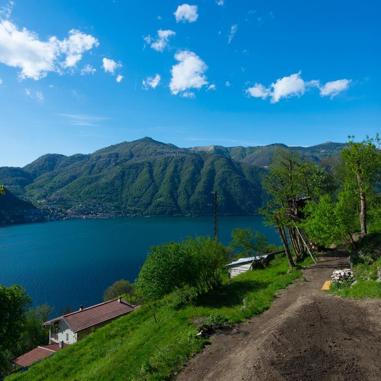 Tra Lago E Montagna Baita La Morena ネッソ エクステリア 写真